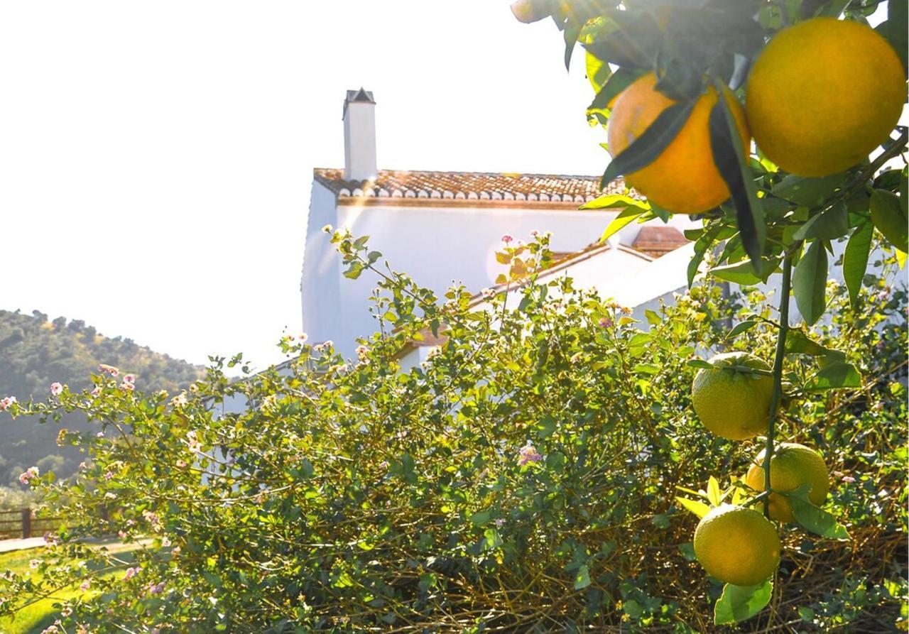 Cortijo Las Caballerias Alora Bagian luar foto