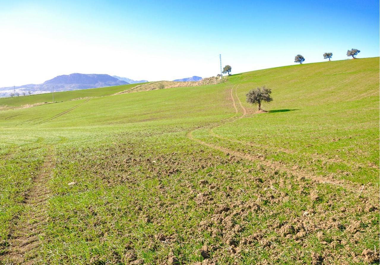 Cortijo Las Caballerias Alora Bagian luar foto